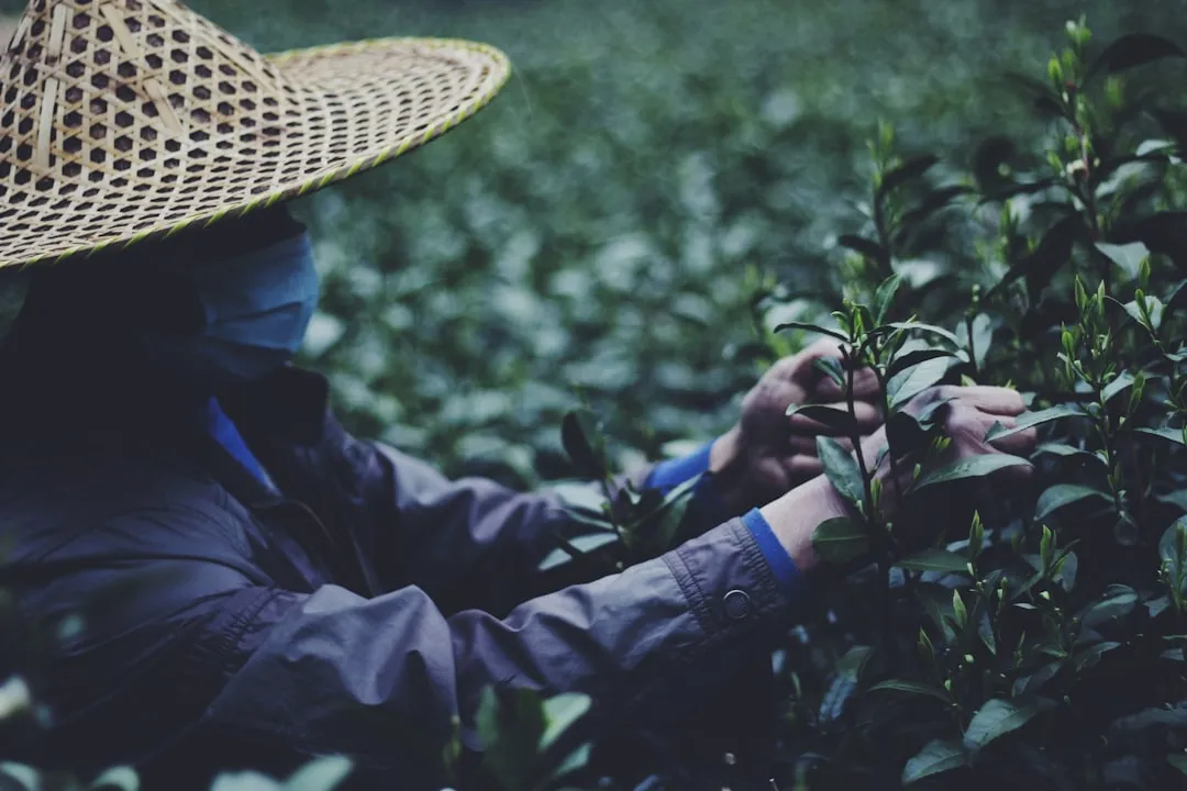 社区团购物流配送效率提升方案与智能调度实践