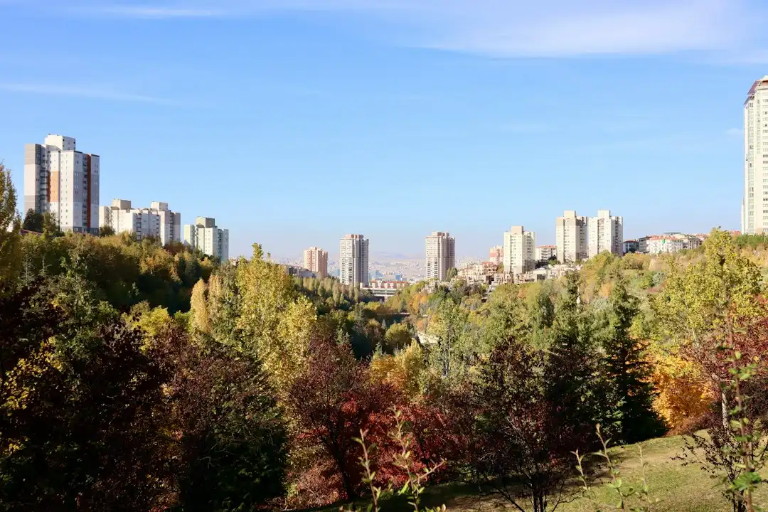 电商服务如何融入城乡居民日常消费？故城县购开心社区团购模式实践